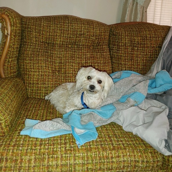 Meet your Posher, Debra - Picture 1 of 1